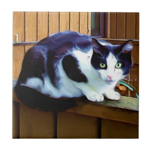 Black and white cat ceramic tile