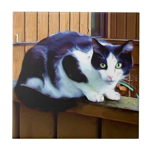 Black and white cat ceramic tile (Front)