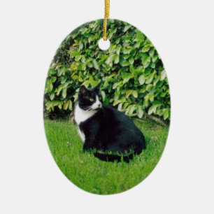 Black and White Cat Ceramic Tree Decoration