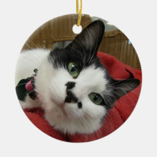 Black and White Cat Ceramic Tree Decoration