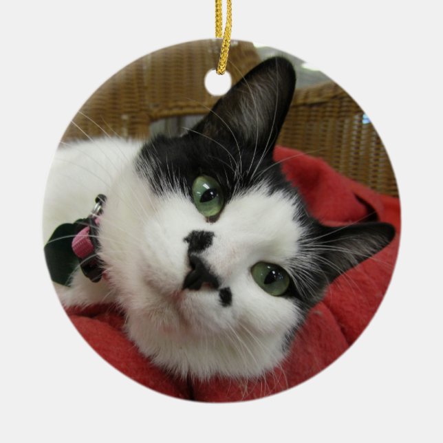 Black and White Cat Ceramic Tree Decoration (Front)