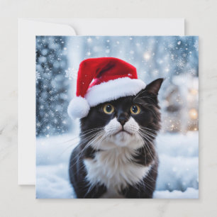Black and white cat Christmas Holiday Card