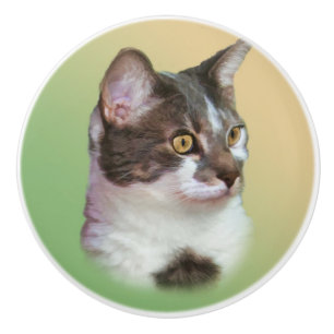 Black and White Cat, Customisable Ceramic Knob