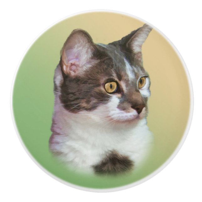 Black and White Cat, Customisable Ceramic Knob (Front)