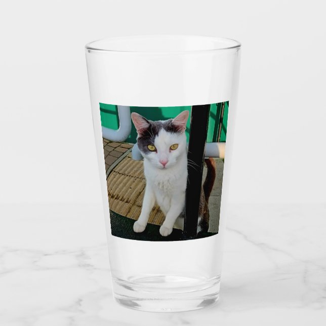 Black and white cat glass (Front)