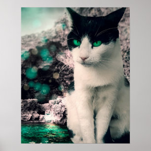 Black And White Cat Green Eyes  Sitting By See Poster