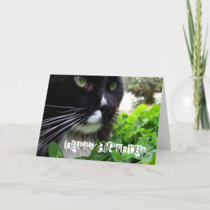 Black And White Cat Happy Birthday Card