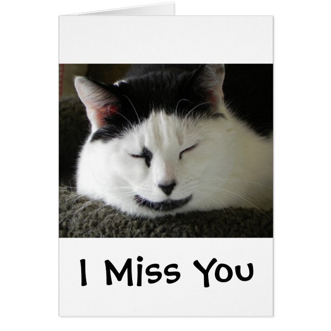 Black and White Cat Humour (Front)