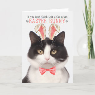 Black and White Cat in Bunny Ears for Easter Holiday Card