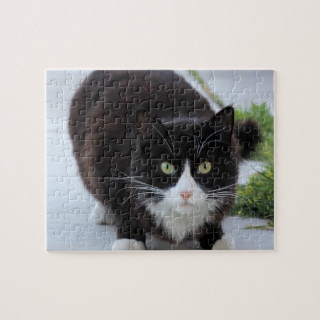 Black and white cat jigsaw puzzle (Horizontal)