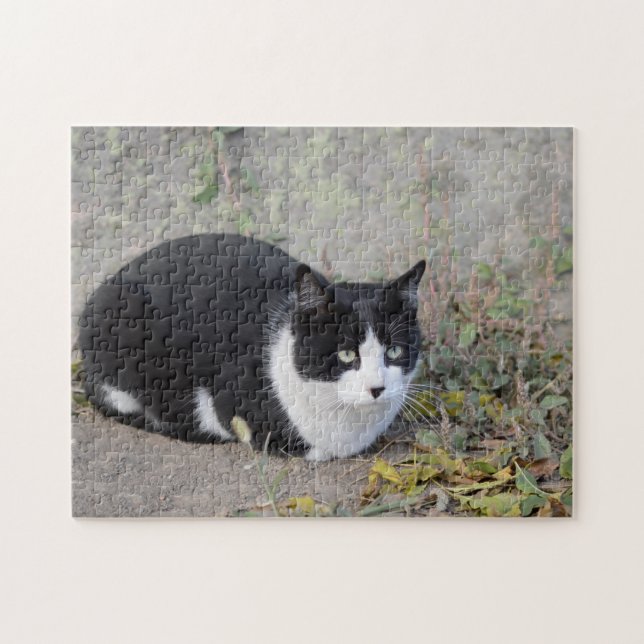 Black and White Cat Jigsaw Puzzle (Horizontal)