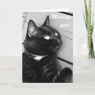 Black and White Cat "Missing you" card