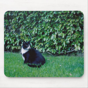 Black and White Cat Mouse Mat