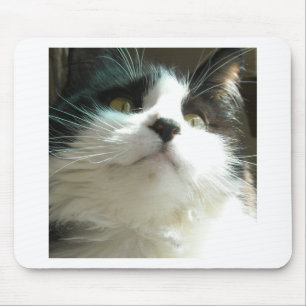 Black and White Cat Mouse Mat