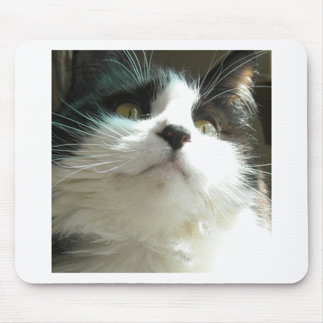 Black and White Cat Mouse Mat (Front)
