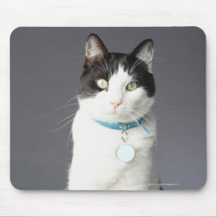 Black and white cat mouse mat