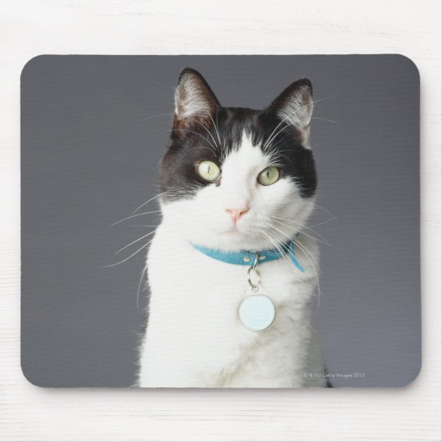 Black and white cat mouse mat (Front)