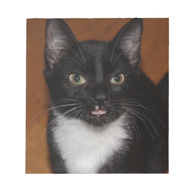 BLACK AND WHITE CAT NOTEPAD (Front)