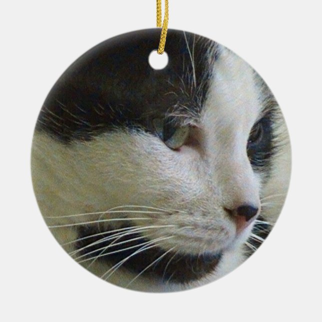 Black and White Cat On Ceramic Ornament (Front)