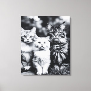 Black and White Cat Photo Art Canvas Print