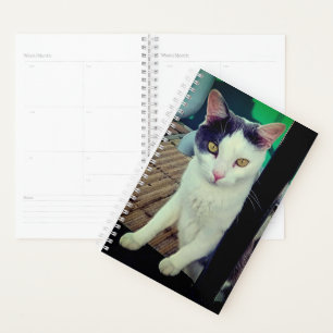 Black and white cat planner