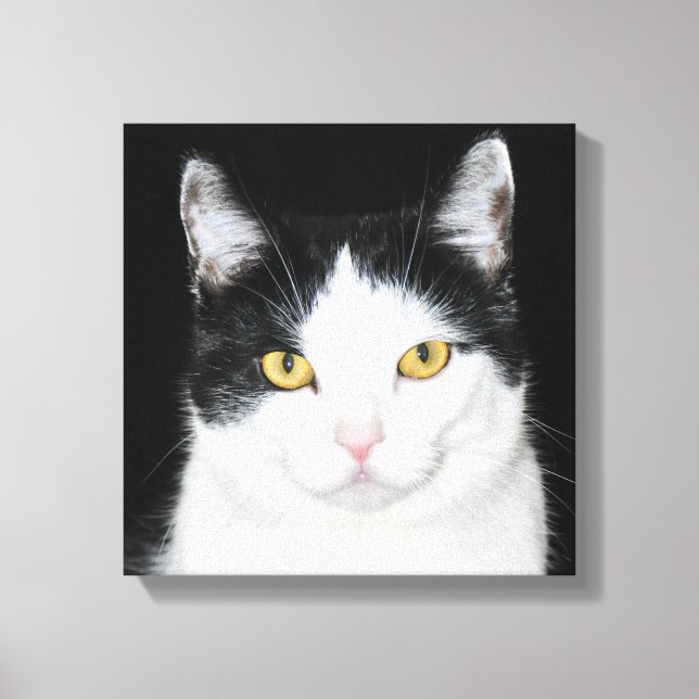 Black and White Cat Portrait Canvas Print (Front)