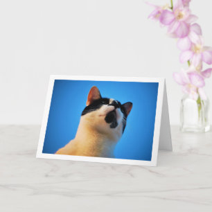 Black and White Cat Portrait Card