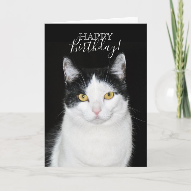 Black and White Cat Portrait Card (Front)