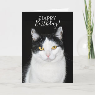 Black and White Cat Portrait Card