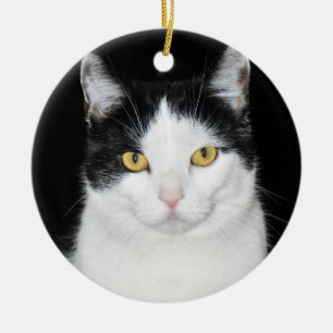 Black and White Cat Portrait Ceramic Tree Decoration