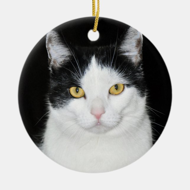 Black and White Cat Portrait Ceramic Tree Decoration (Front)