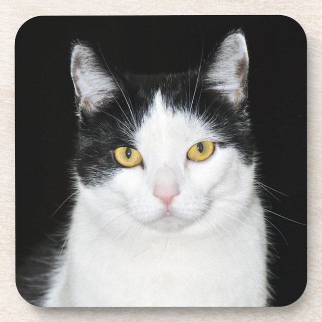 Black and White Cat Portrait Coaster (Front)