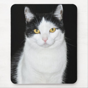 Black and White Cat Portrait Mouse Mat
