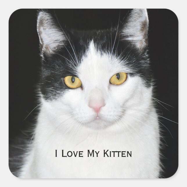 Black and White Cat Portrait Square Sticker (Front)