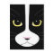 Black and White Cat