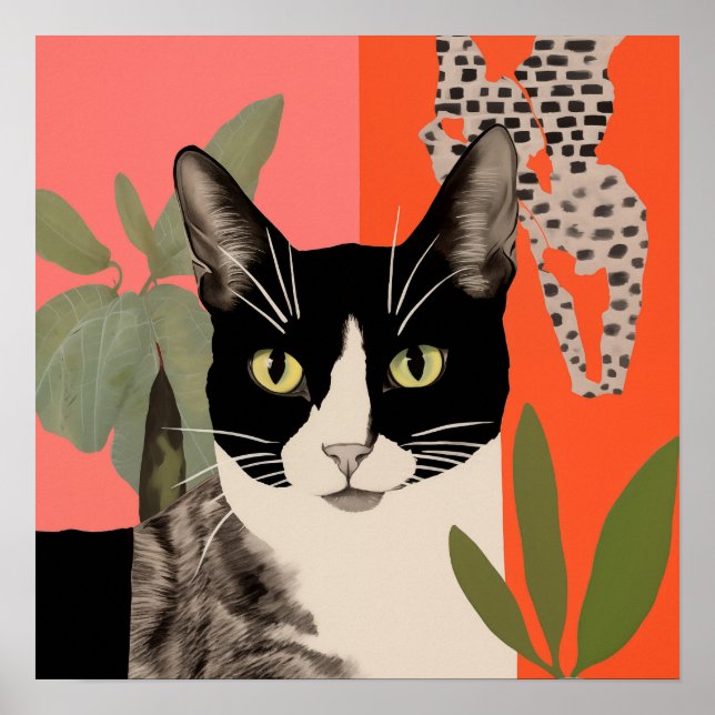 Black and White Cat Poster (Front)