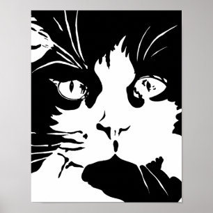Black and white cat poster