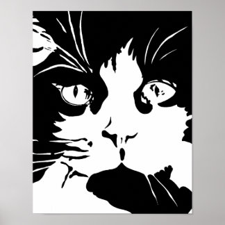 Black and white cat poster
