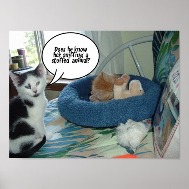 Black and White Cat Poster (Front)