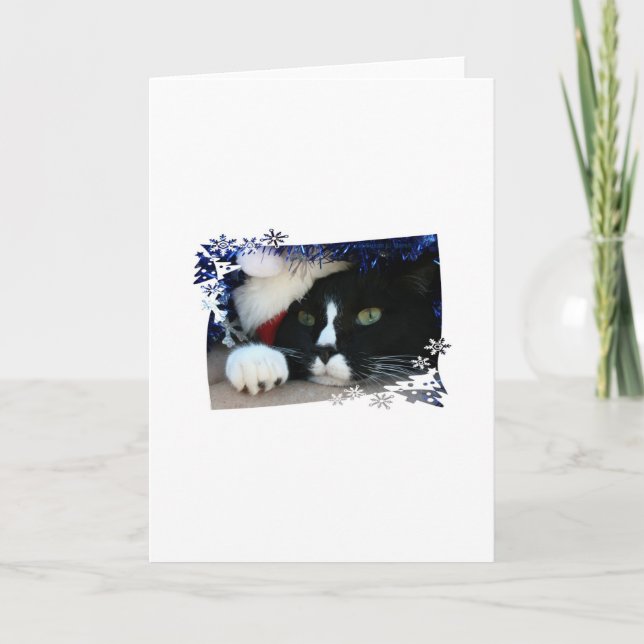 Black and white cat , santa hat, tinsel and a paw holiday card (Front)