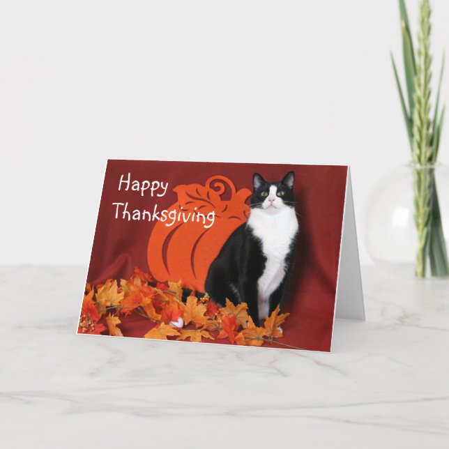Black and White Cat Says Happy Thanksgiving Card (Front)