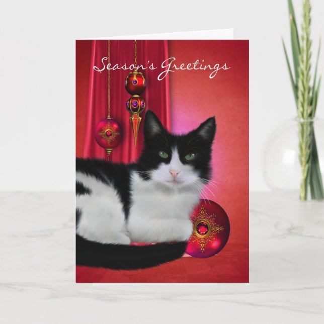 black and white cat season's greeting card with or (Front)