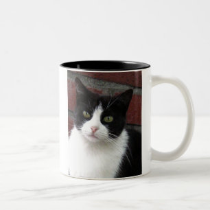 black and white cat Two-Tone coffee mug