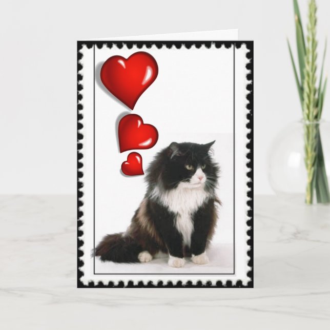 Black and white cat valentine holiday card (Front)