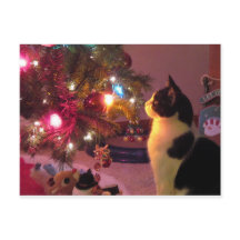 Black and White Cat w/ Christmas Tree Postcard