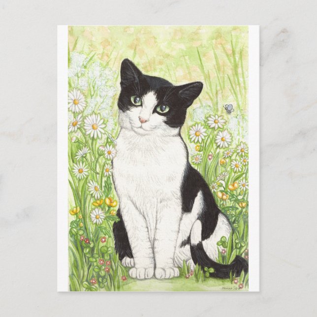 Black and White cat with daisies Postcard (Front)