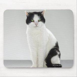 Black and white cat with glowing green eyes mouse mat