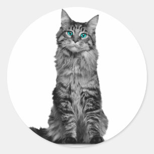 Black and white cat with green eyes classic round sticker