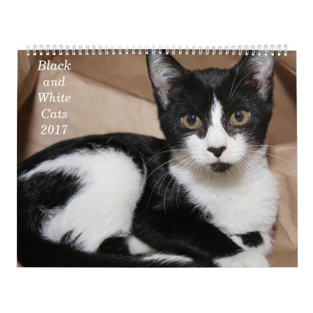 BLACK AND WHITE CATS 2017 CALENDAR (Cover)