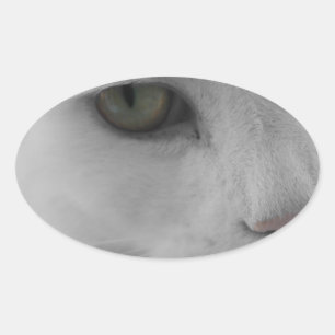 Black and white cats face oval sticker
